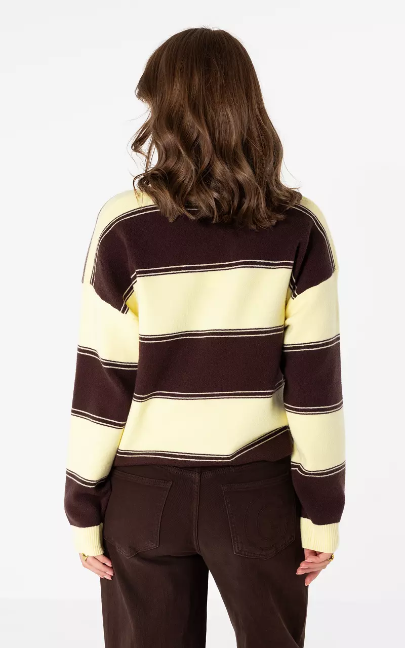 Gestreifter Pullover mit Kragen Gelb Dunkelbraun