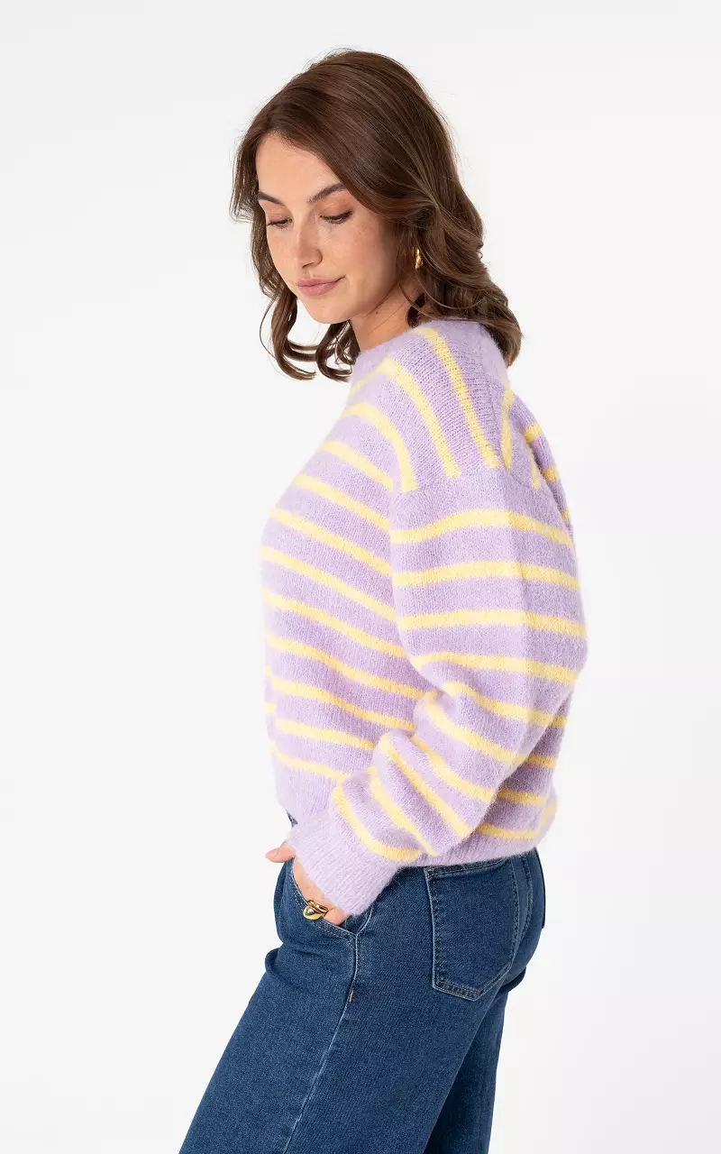 Pullover mit Streifen Flieder Hellgelb