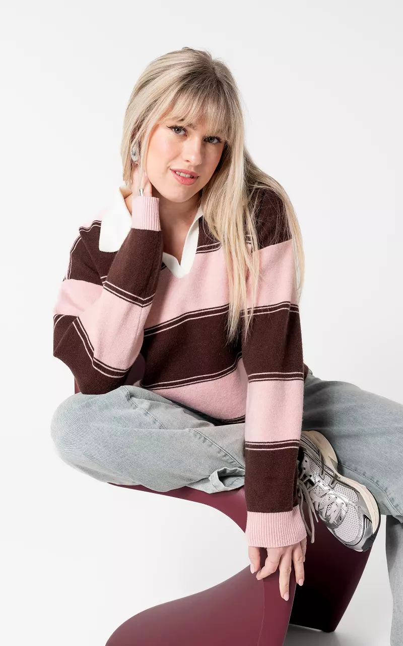 Trui met kraag Roze Bruin