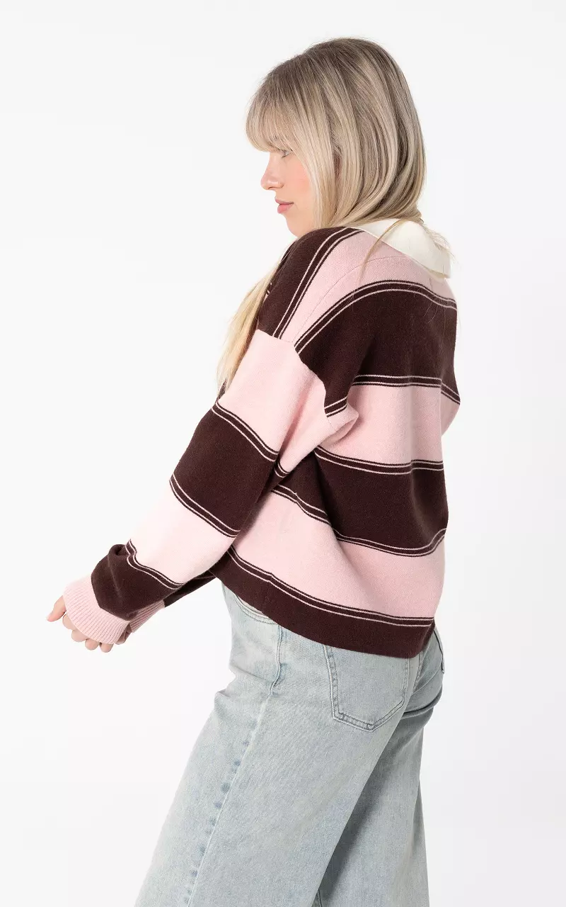 Trui met kraag Roze Bruin