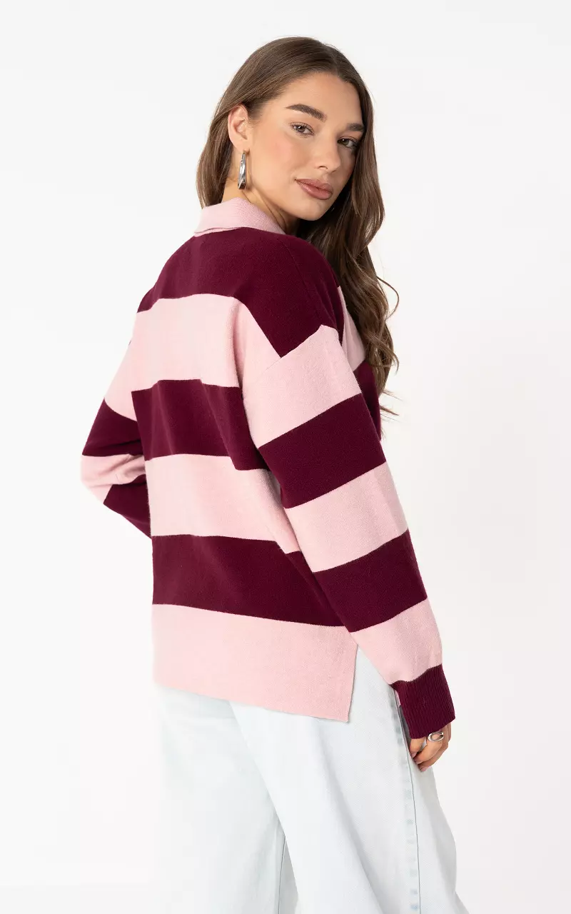 Jumper with collar Bordeaux Pink