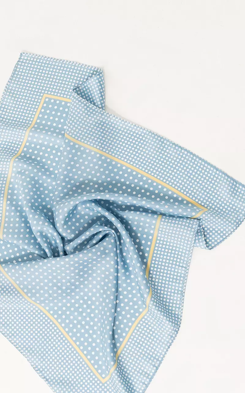 Satin stippen shawl Blauw Wit