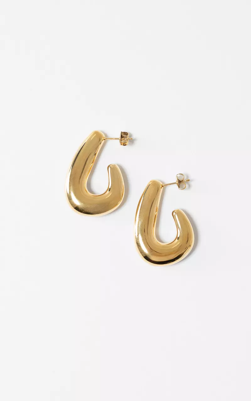 Earrings Gold