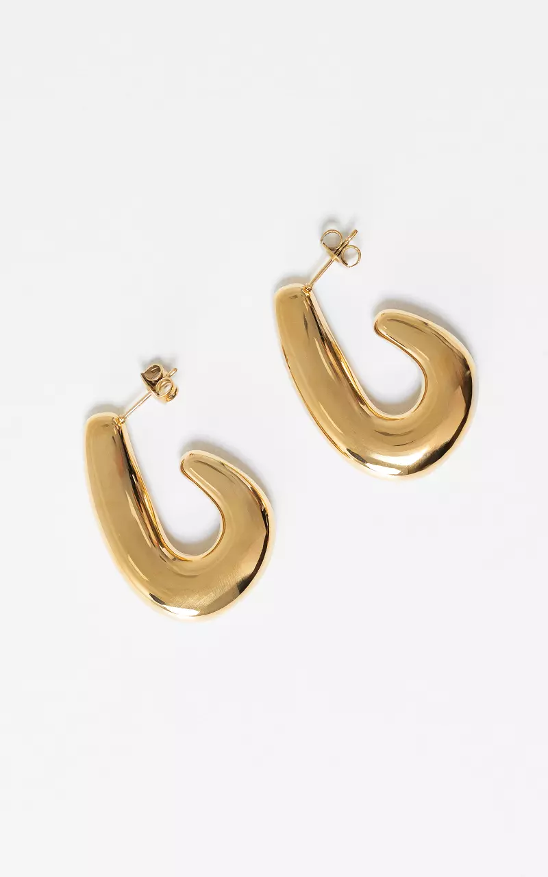 Earrings Gold