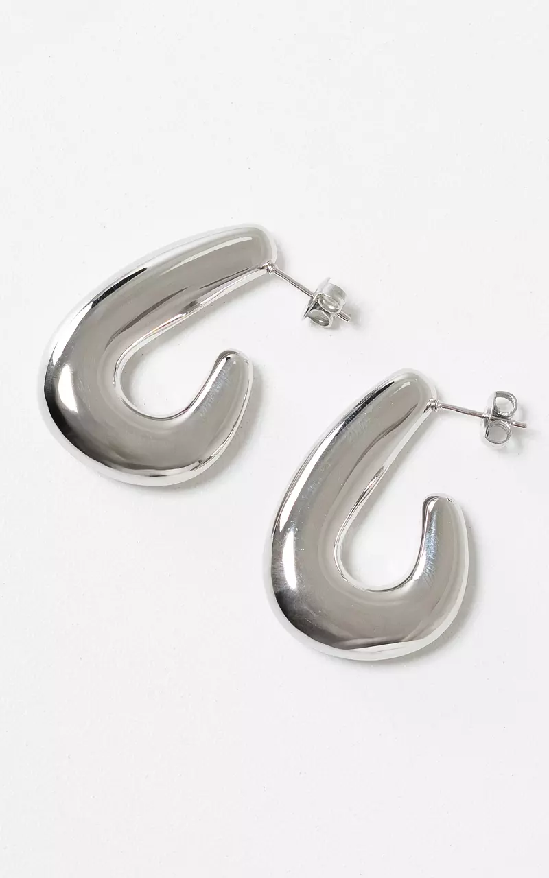 Oorbellen Zilver