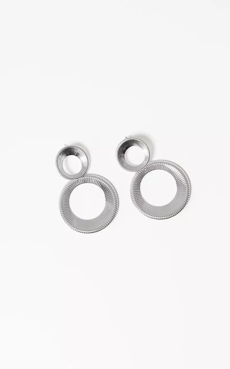 Ronde oorbellen Zilver
