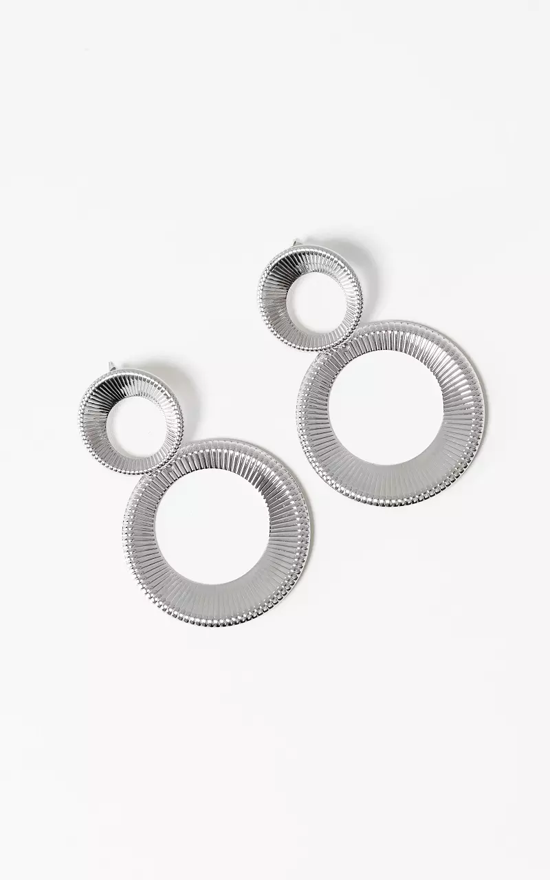 Ronde oorbellen Zilver