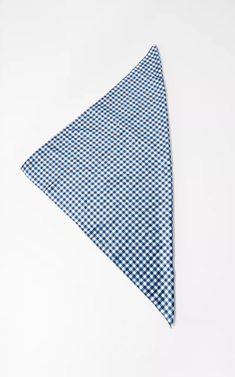 Geblokte shawl Blauw Wit
