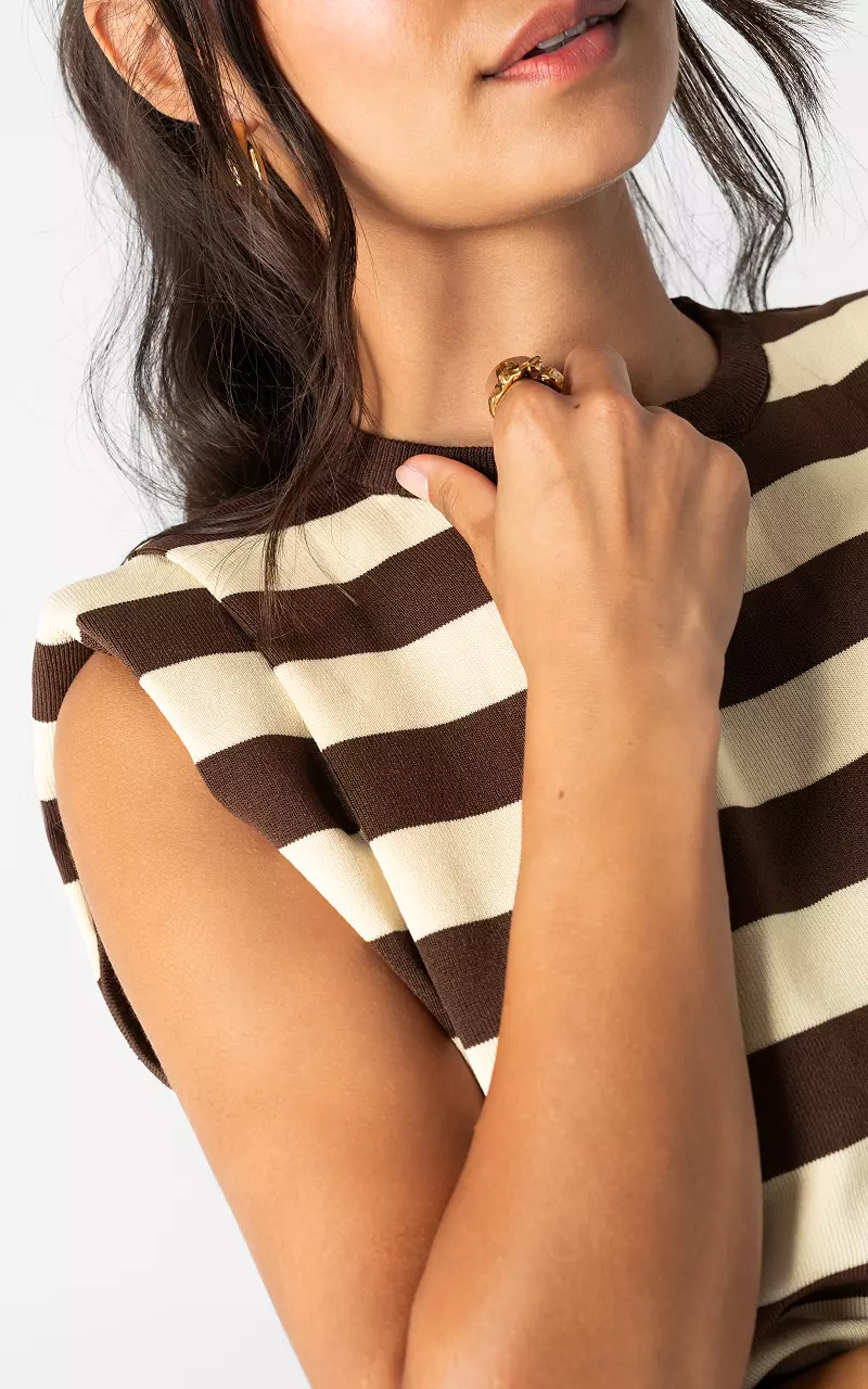 Gestreiftes Top Dunkelbraun Creme