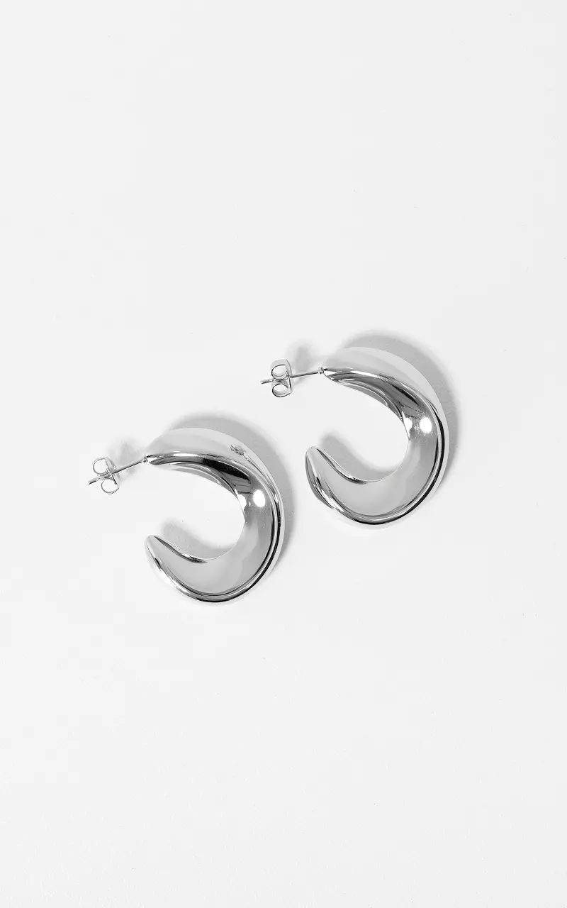 Earrings #109135 Silver