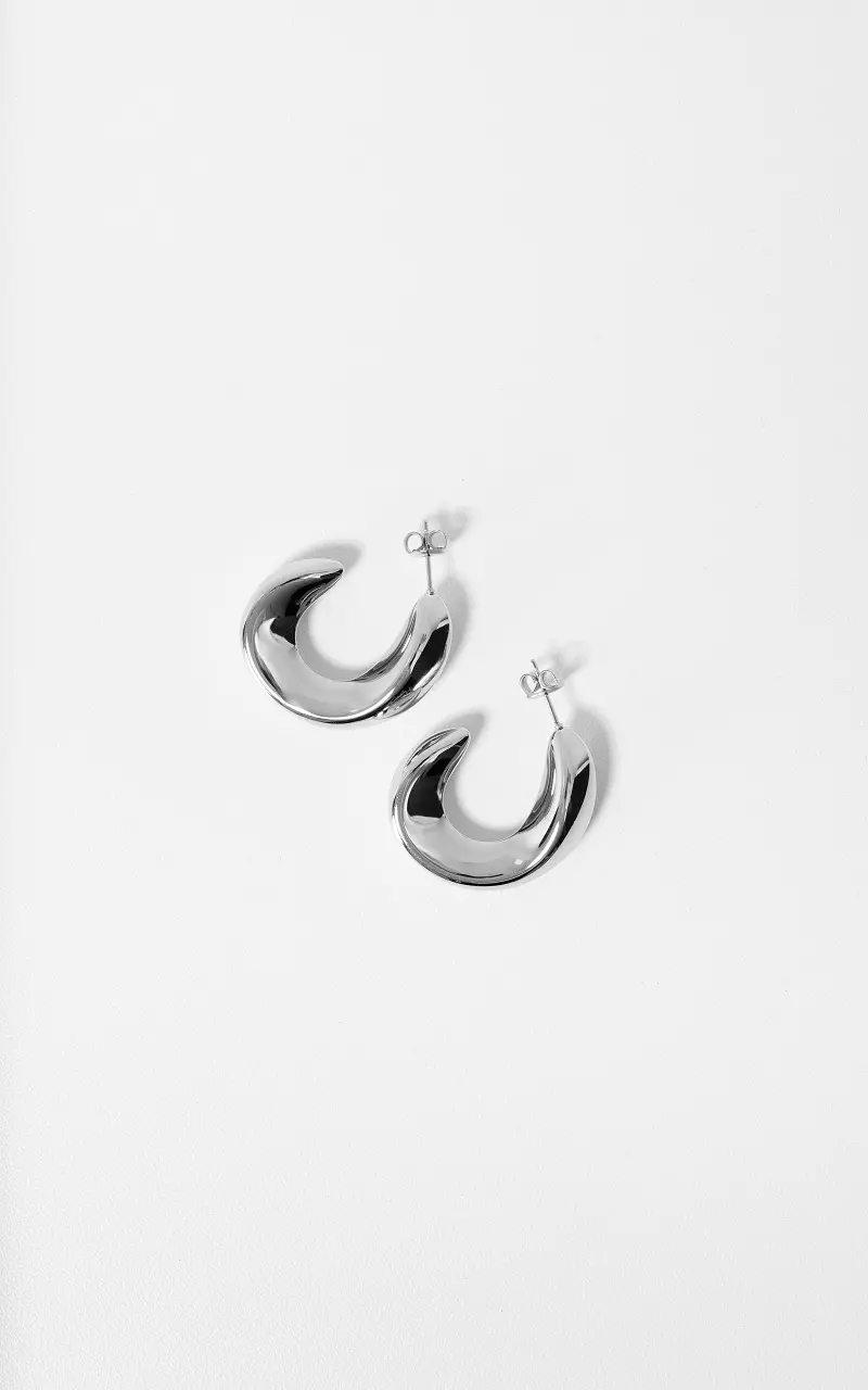 Earrings #109135 Silver