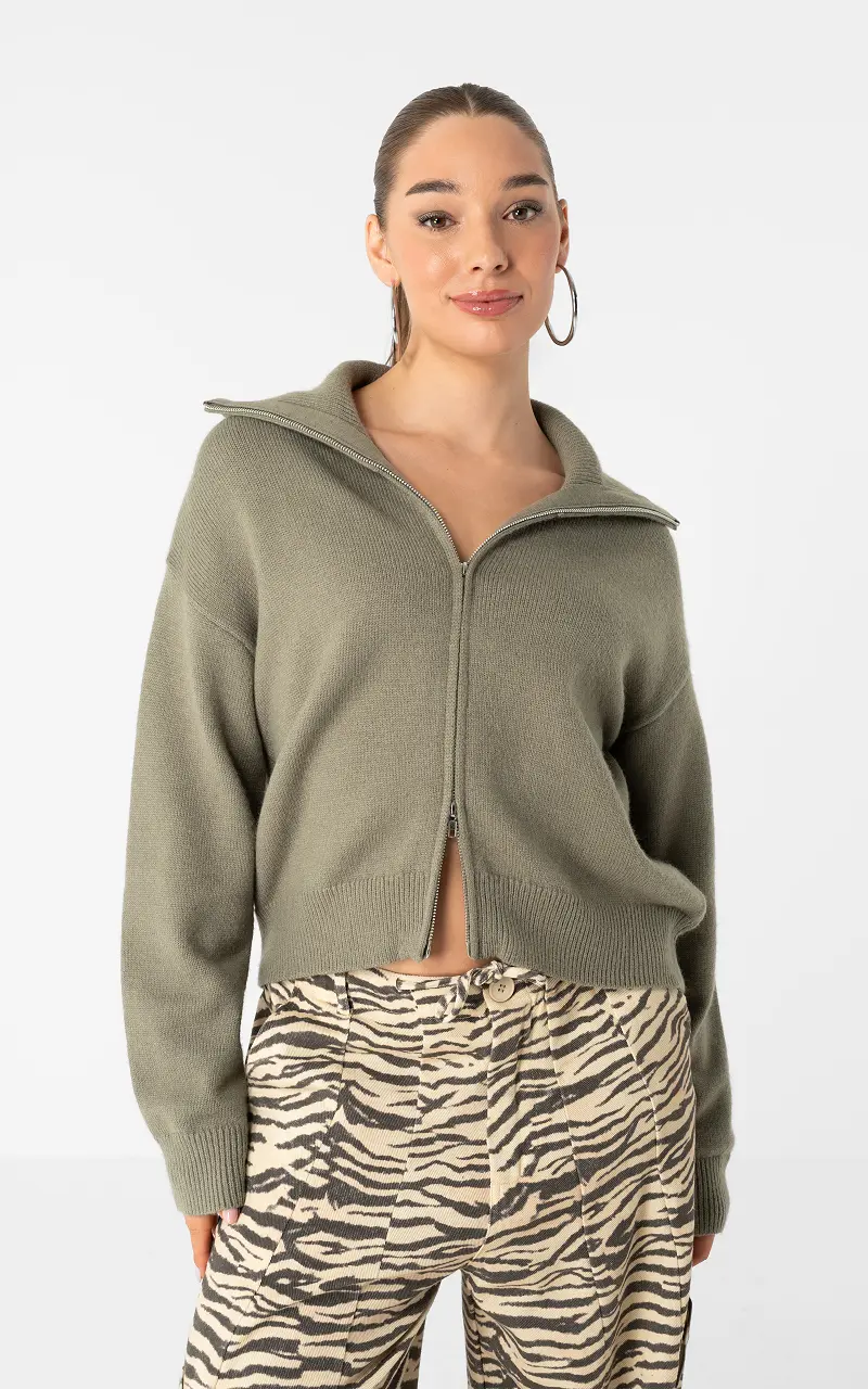 Cardigan mit Reißverschluss Grün