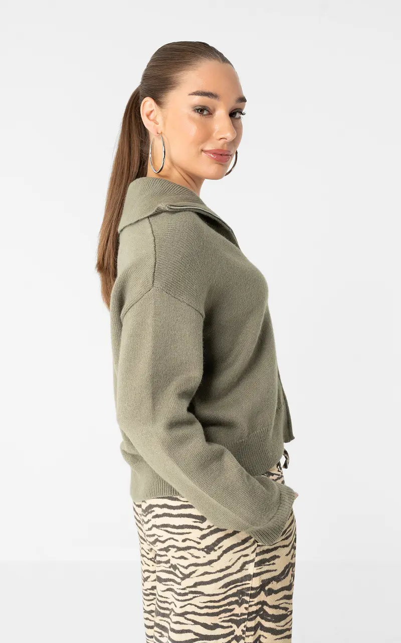 Cardigan mit Reißverschluss Grün