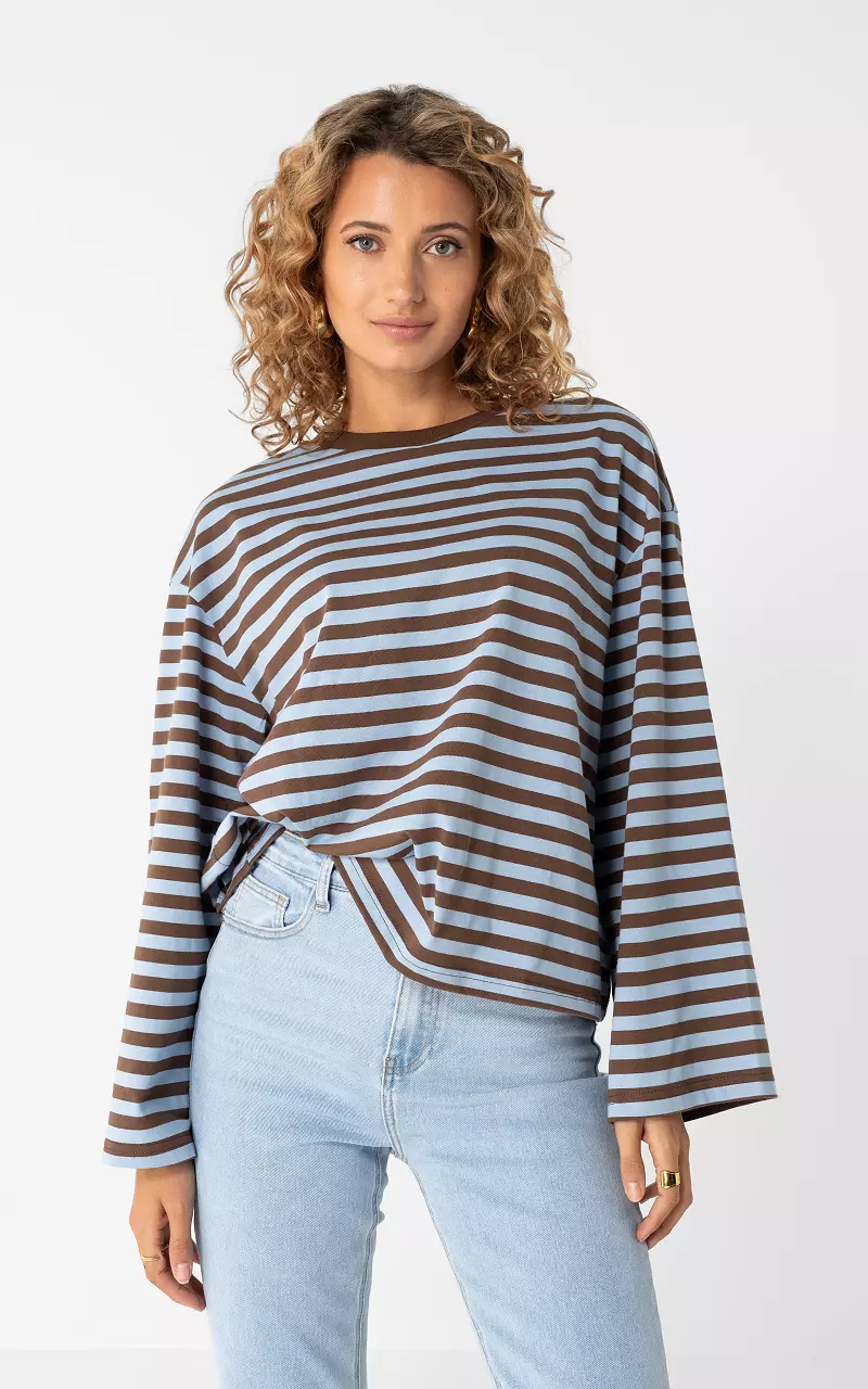 Striped Longsleeve Blauw Bruin