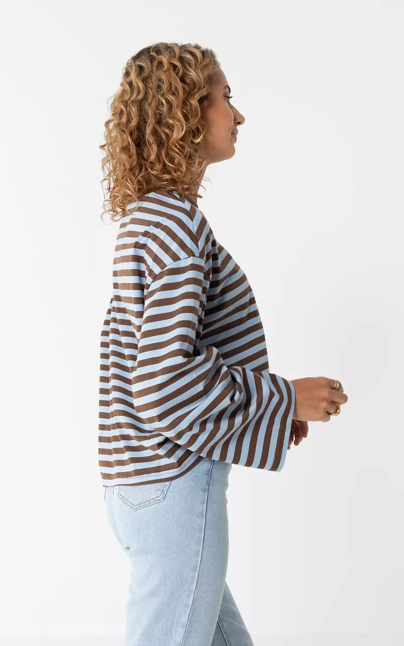 Striped Longsleeve Blauw Bruin