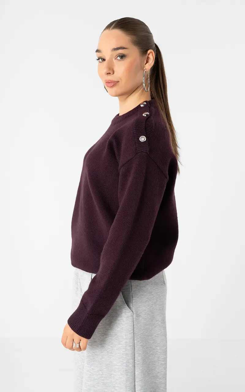 Pullover mit Knöpfen Bordeaux