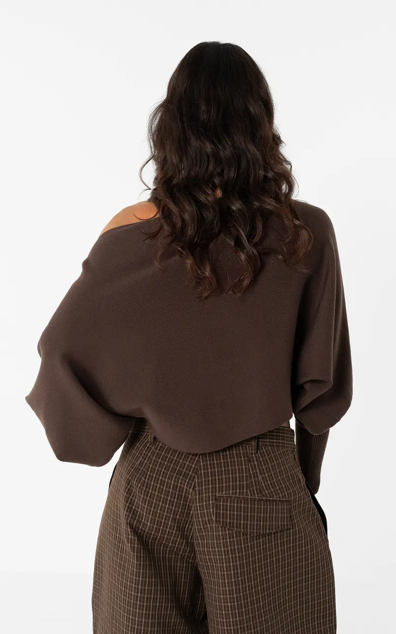 Pullover mit weitem Ärmel Braun