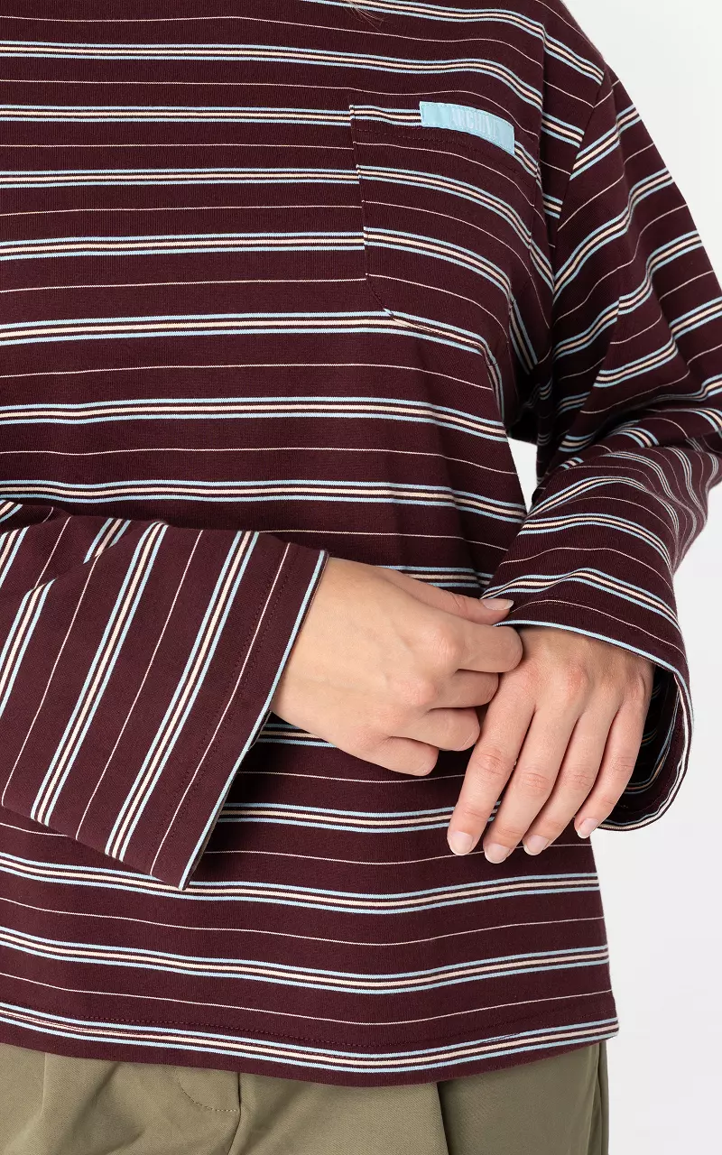 Langarmshirt mit Streifen Hellblau Dunkelbraun