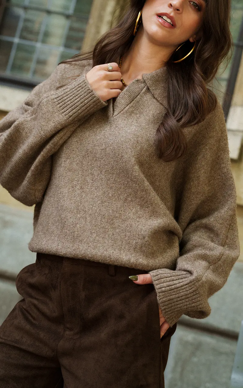 Sweater with collar Brown