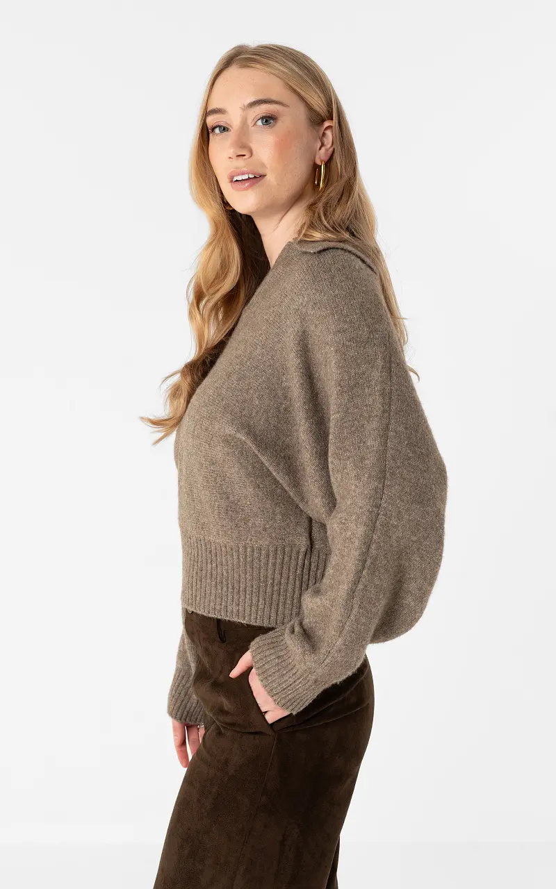 Pull #110093 Marron