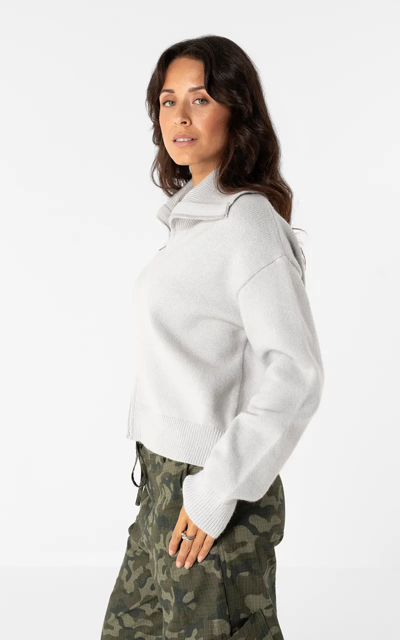 Cardigan mit Reißverschluss Grau