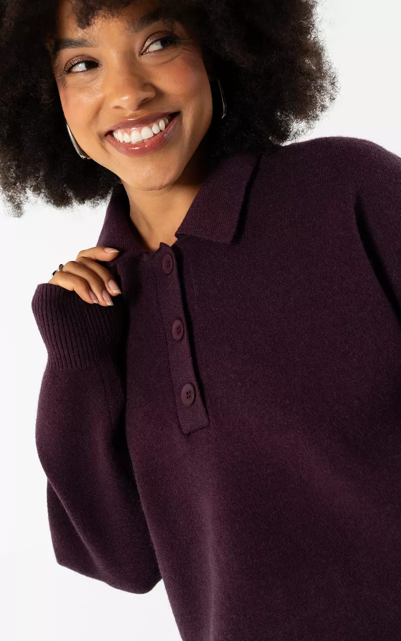 Gestreifter Pullover mit Kragen Aubergine