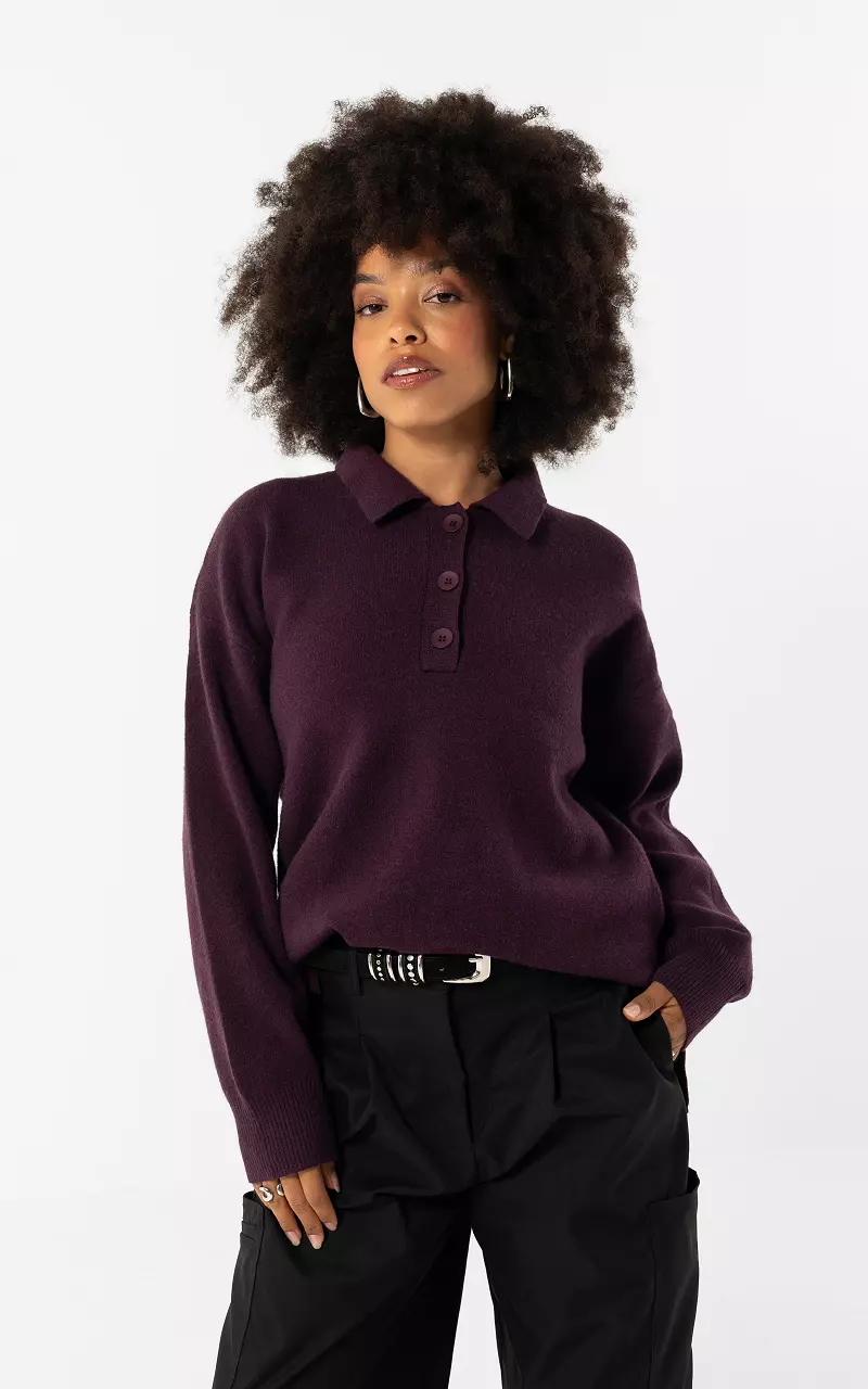 Gestreifter Pullover mit Kragen Aubergine