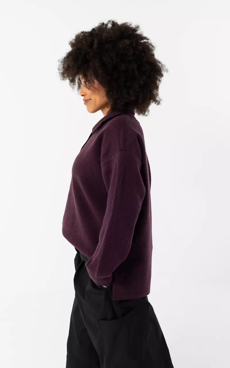 Gestreifter Pullover mit Kragen Aubergine