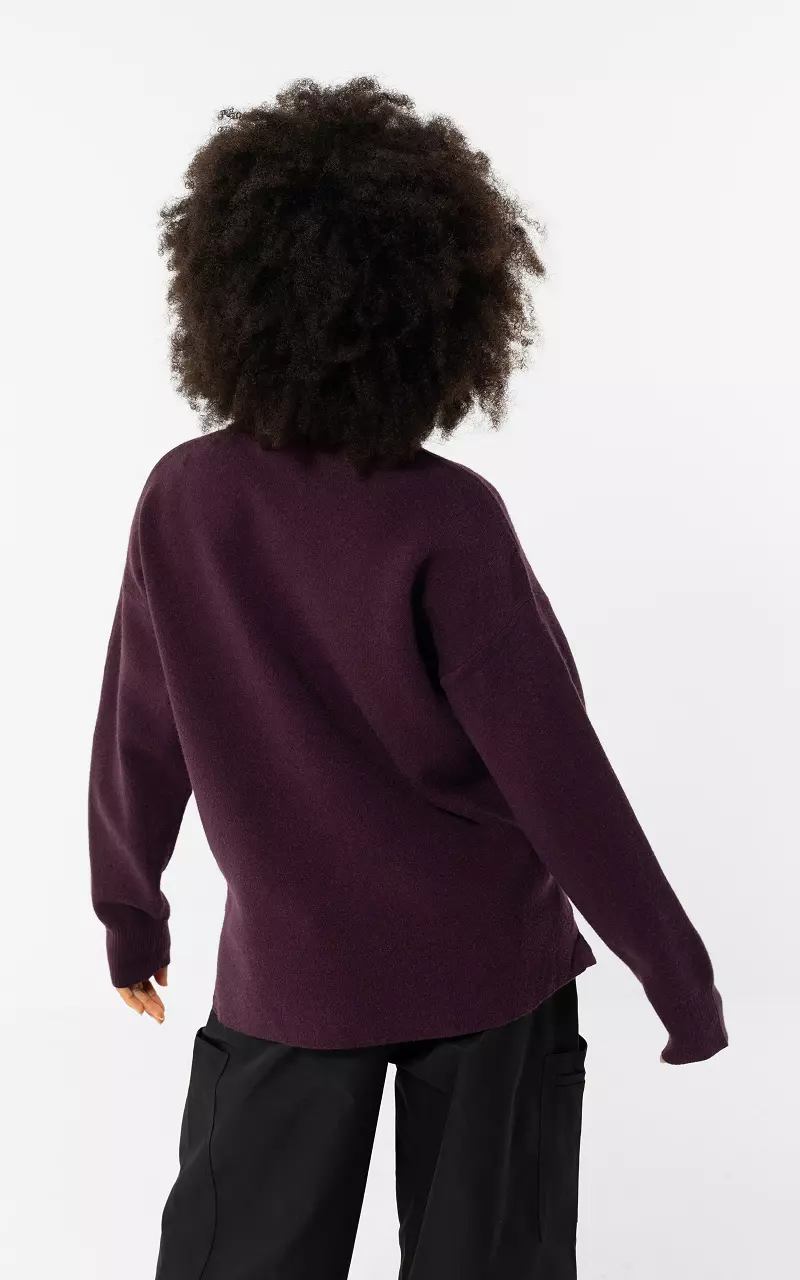 Gestreifter Pullover mit Kragen Aubergine