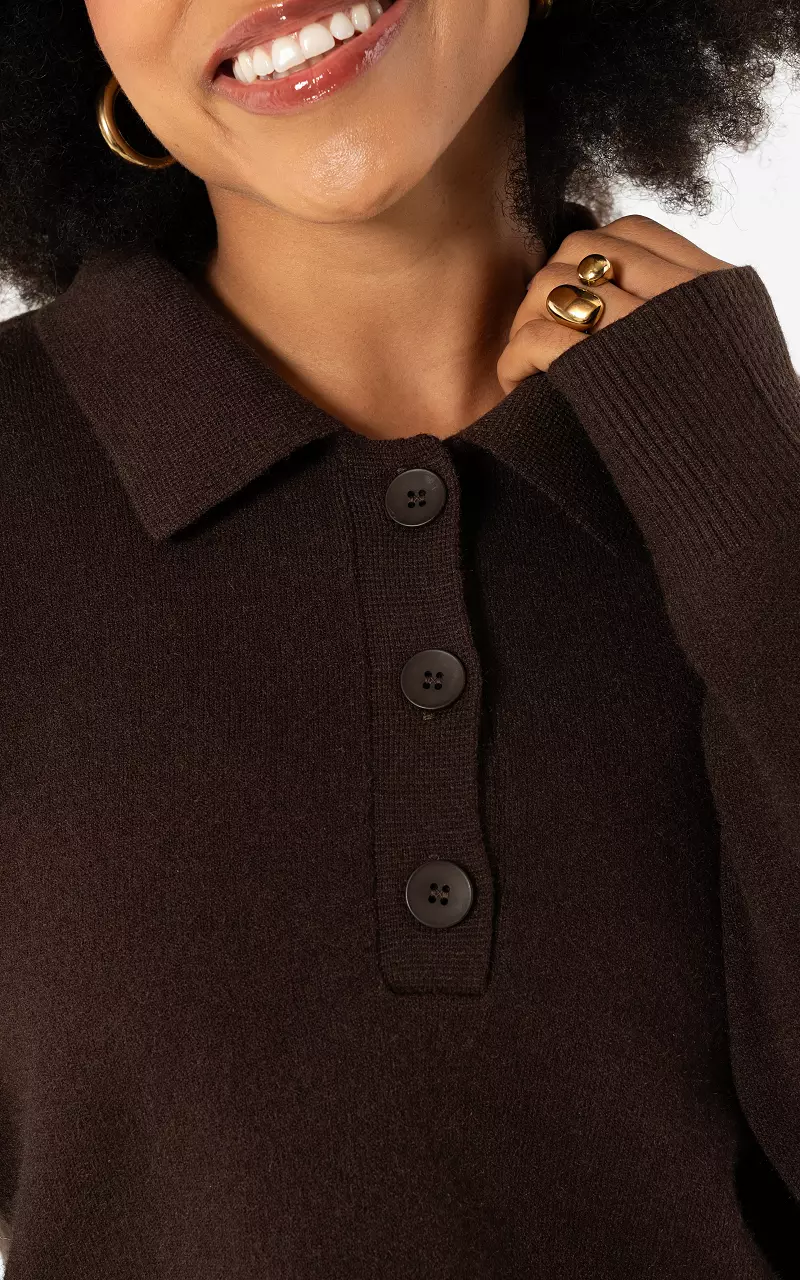 Gestreifter Pullover mit Kragen Dunkelbraun