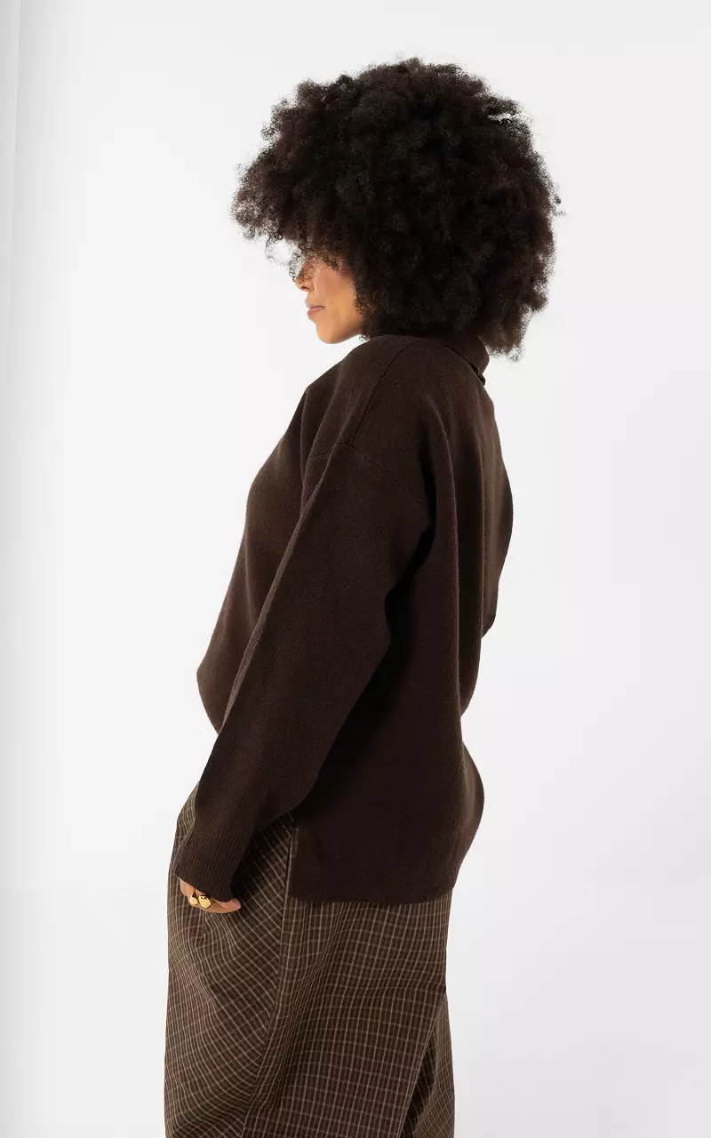 Gestreifter Pullover mit Kragen Dunkelbraun