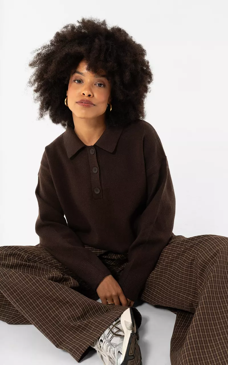 Gestreifter Pullover mit Kragen Dunkelbraun