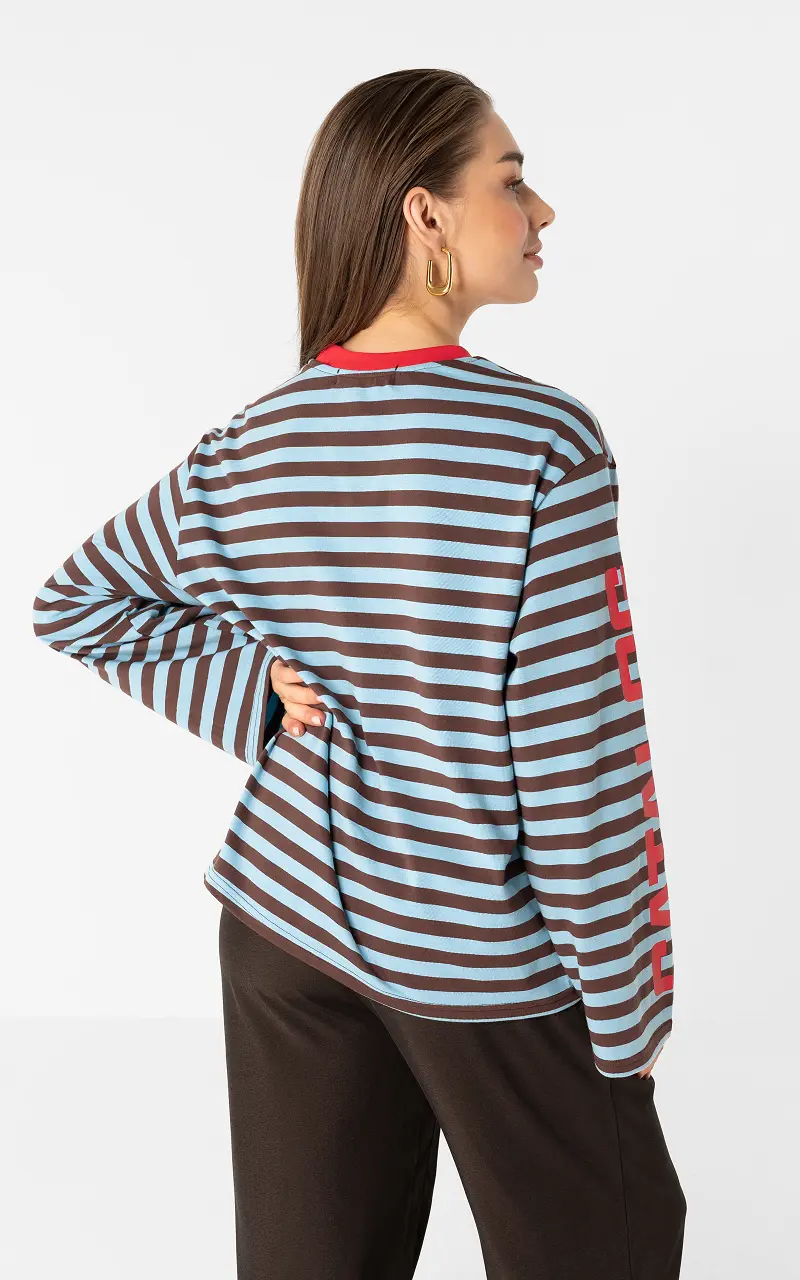 Catalog longsleeve Blue Brown