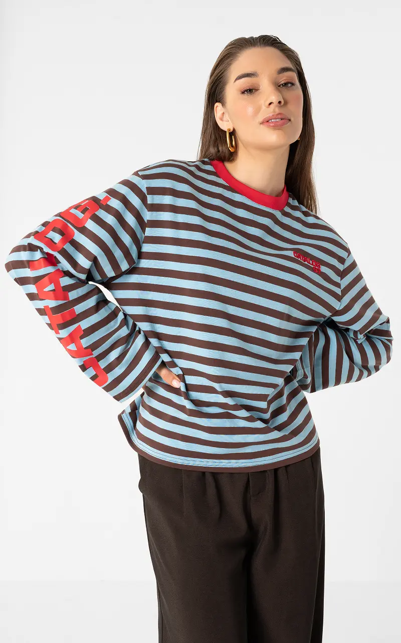Catalog longsleeve Blue Brown