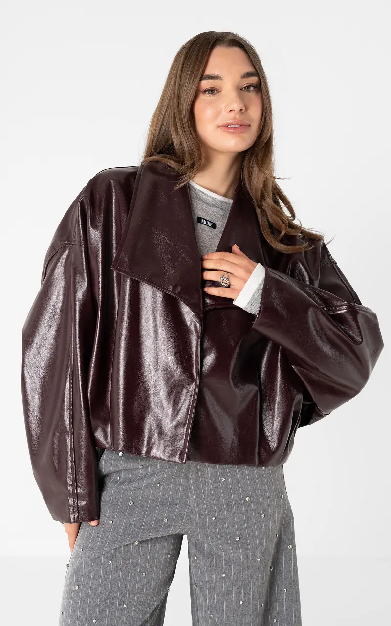 Balloon jacket Aubergine