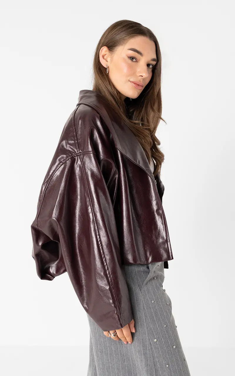 Balloon jacket Aubergine