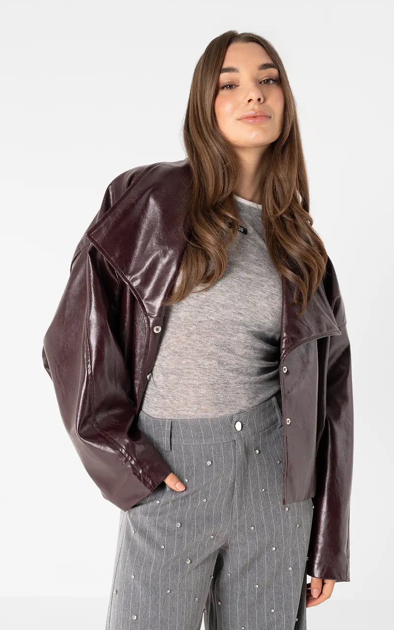 Balloon jacket Aubergine