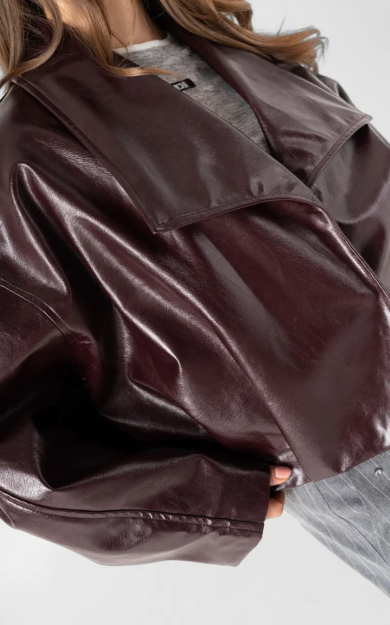 Balloon jacket Aubergine