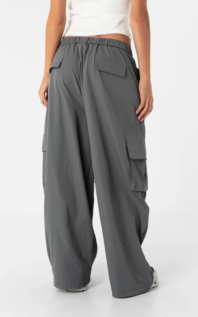 Cargo Hose Grau