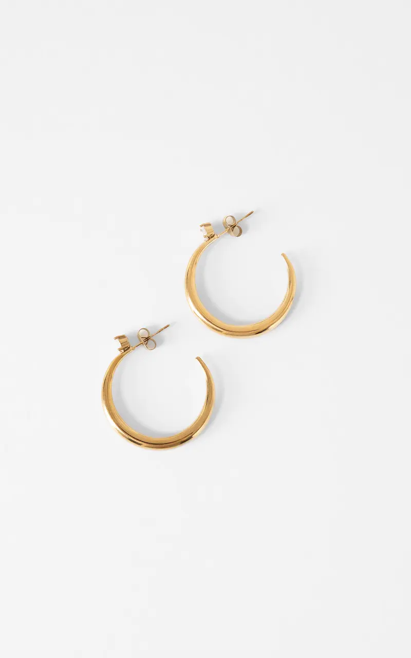 Hoops with stone Gold