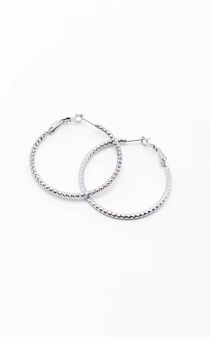 Stainless steel earrings Silver