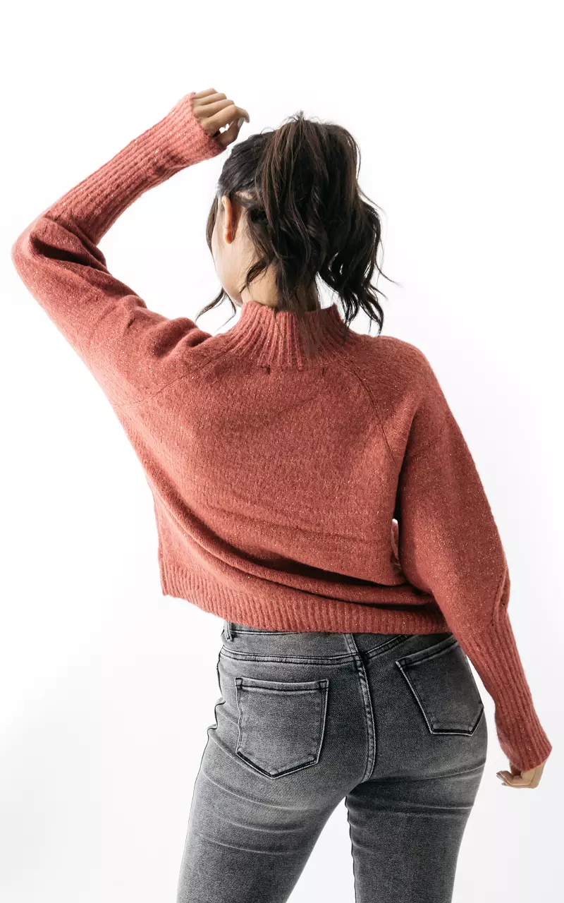 Glitter hot sale turtleneck sweater