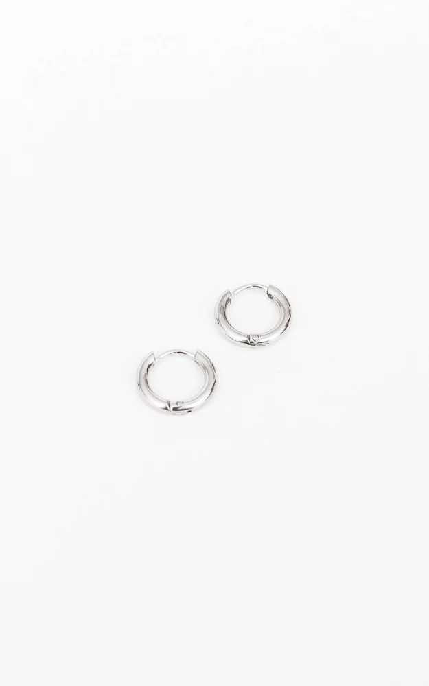 Small stainless steel earrings Silver
