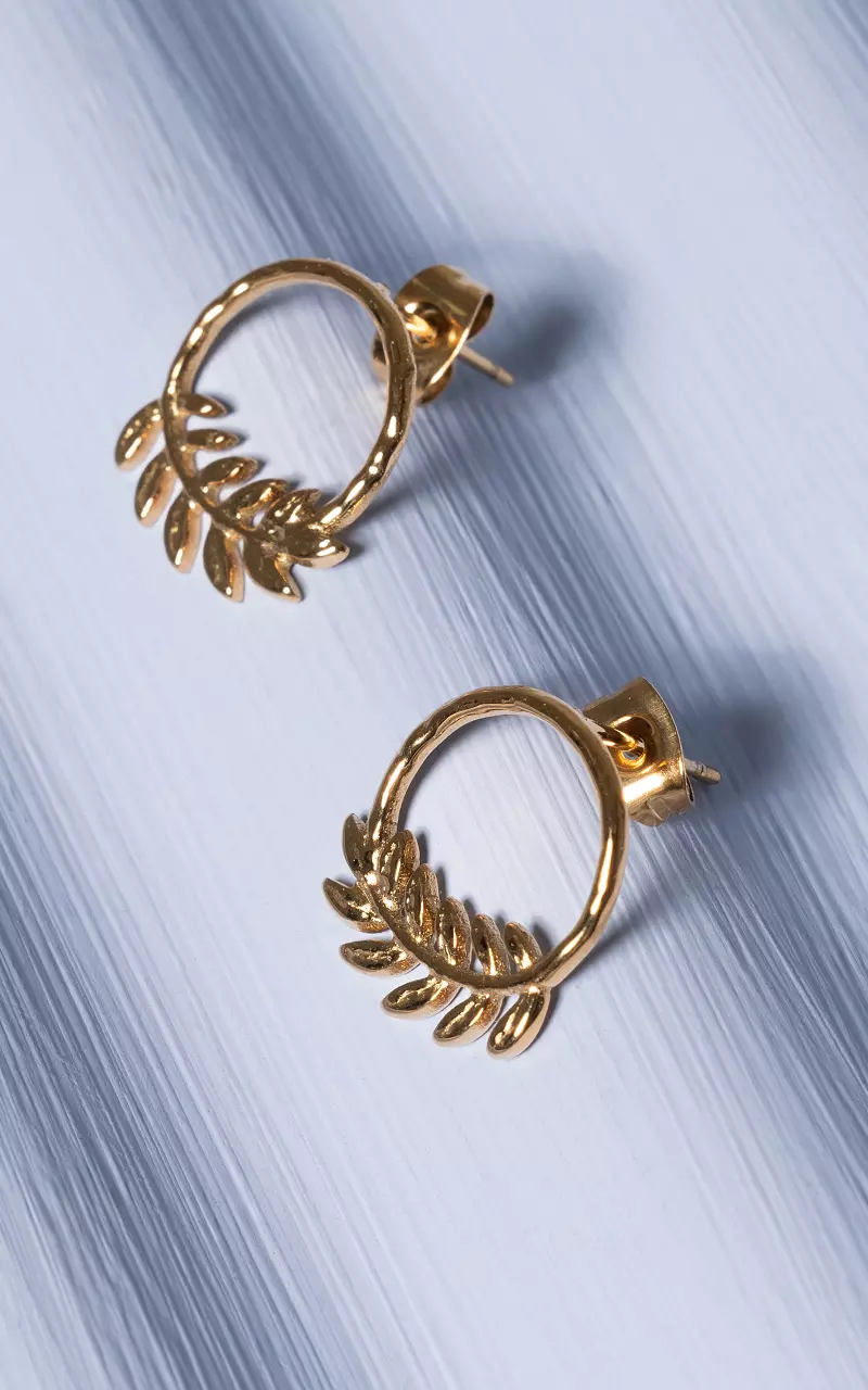Oorbellen van stainless steel Goud