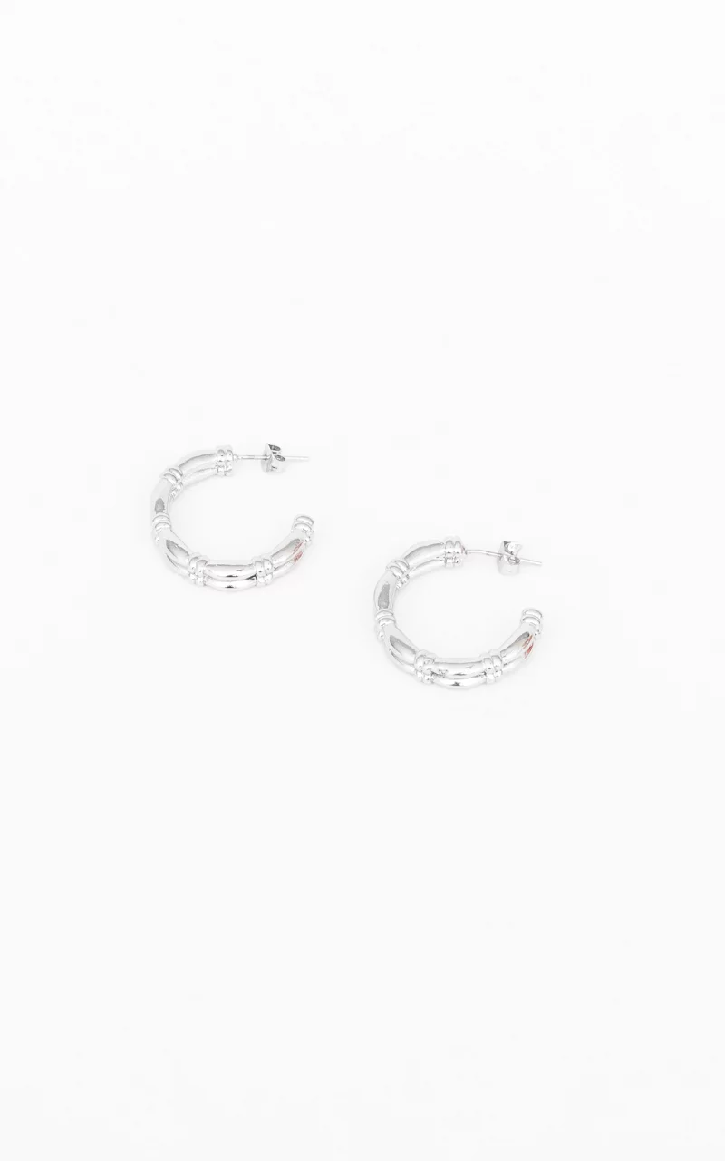 Stainless steel hoop earrings Silver