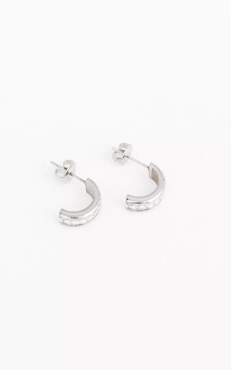 Stainless steel earrings with beads Silver