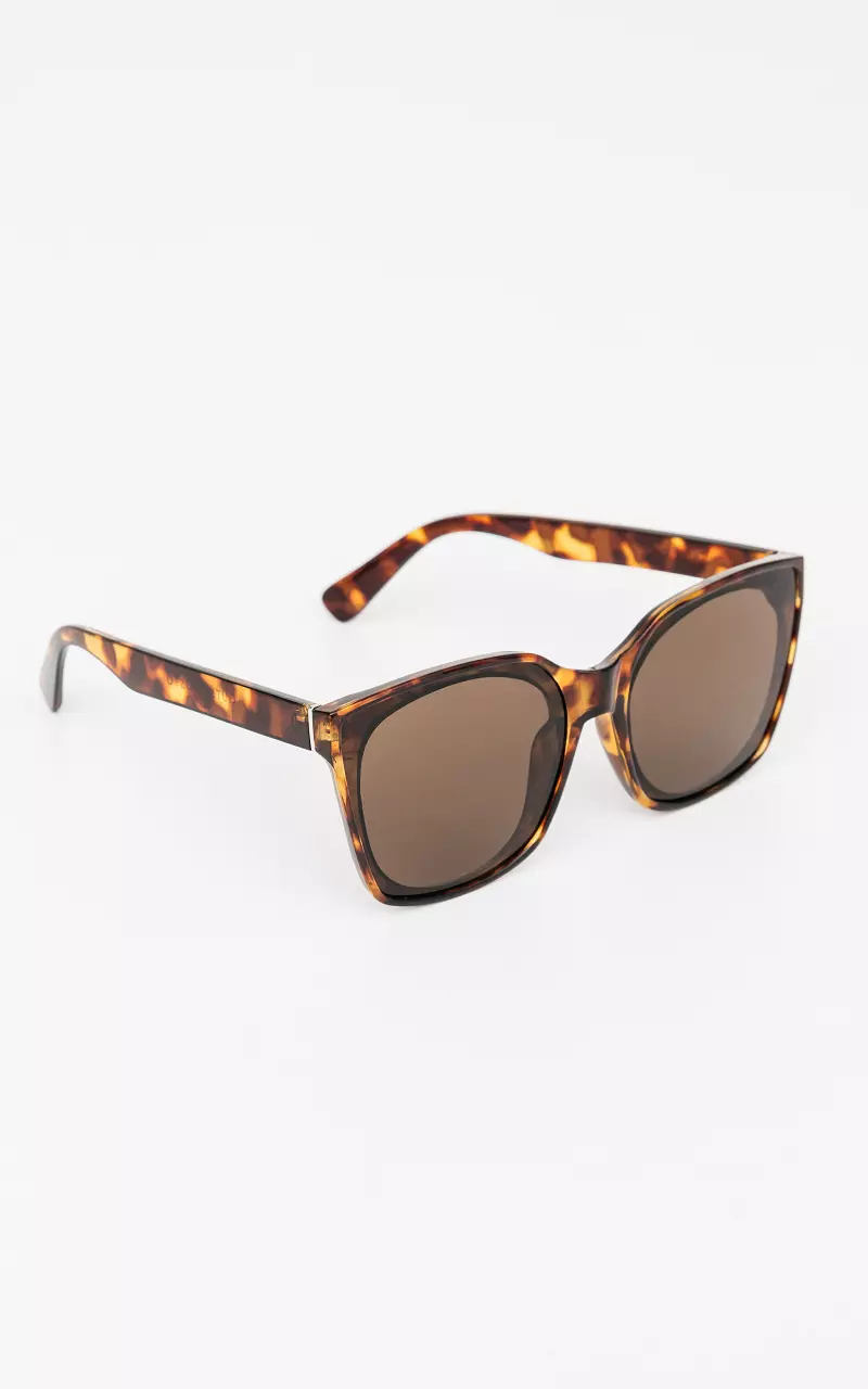 Sunglasses with synthetic frame Dark Brown