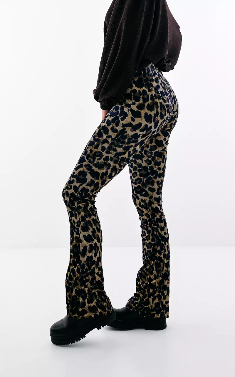 Velvet flared pants Leopard
