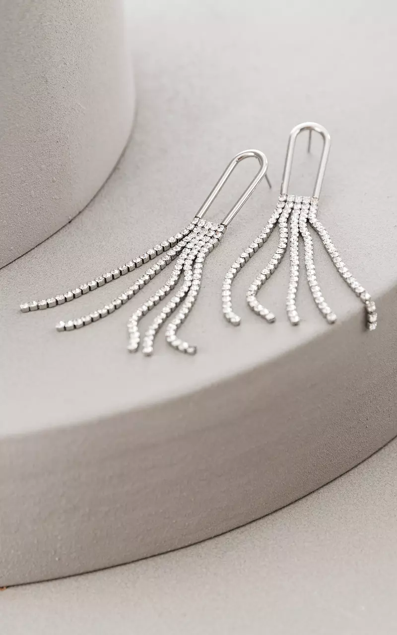 Strass oorbellen met kwastjes Zilver