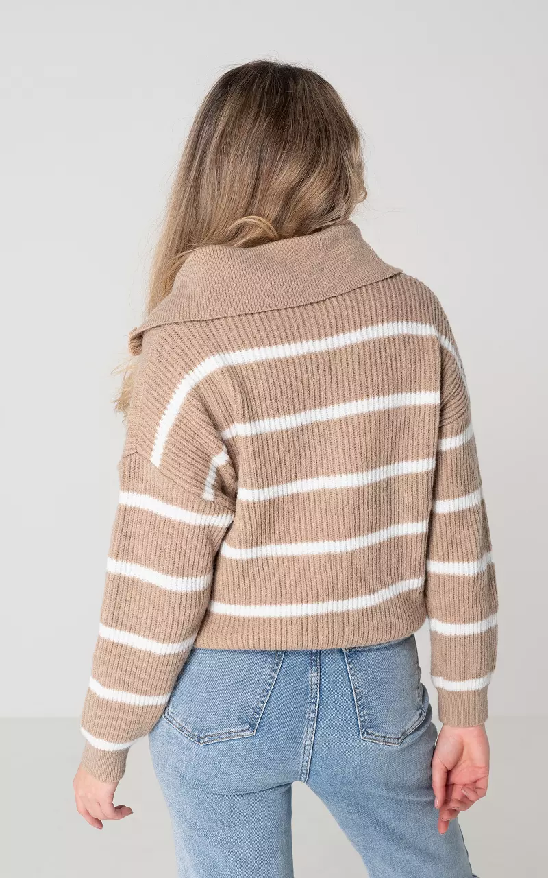Gestreifter Pullover mit Reißverschluss Hellbraun Weiß